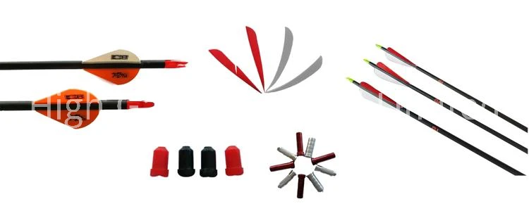 product-750-300 product-750-300